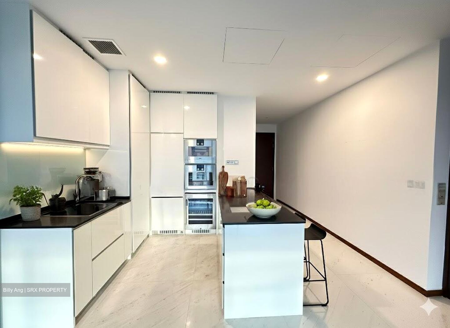 The Scotts Tower (D9), Condominium #498730381